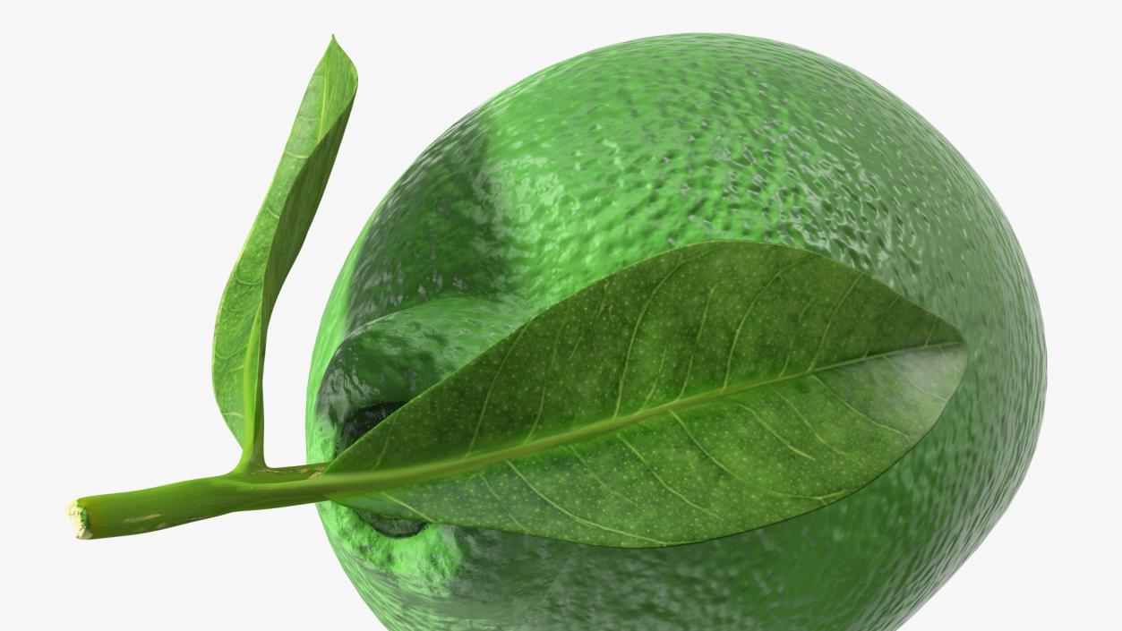 Plastic Green Lemon 3D model