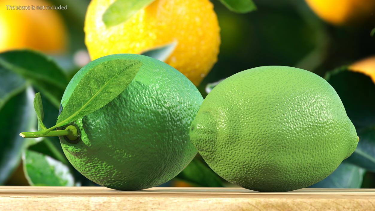 Plastic Green Lemon 3D model