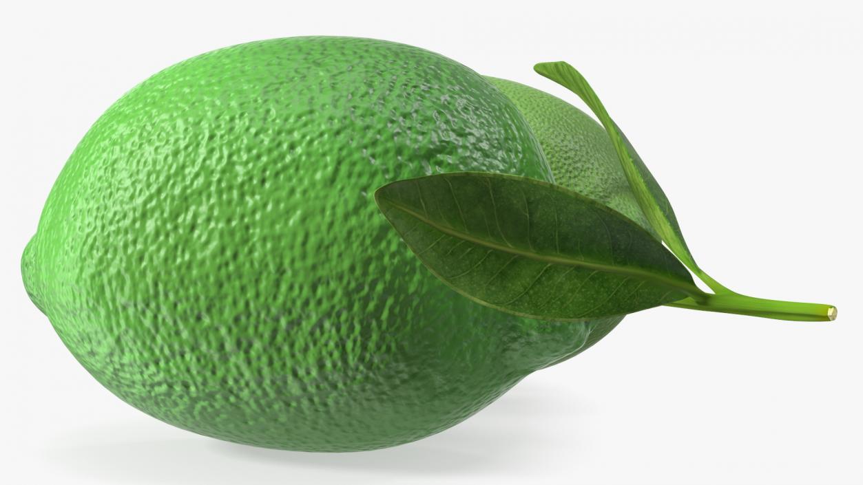 Plastic Green Lemon 3D model