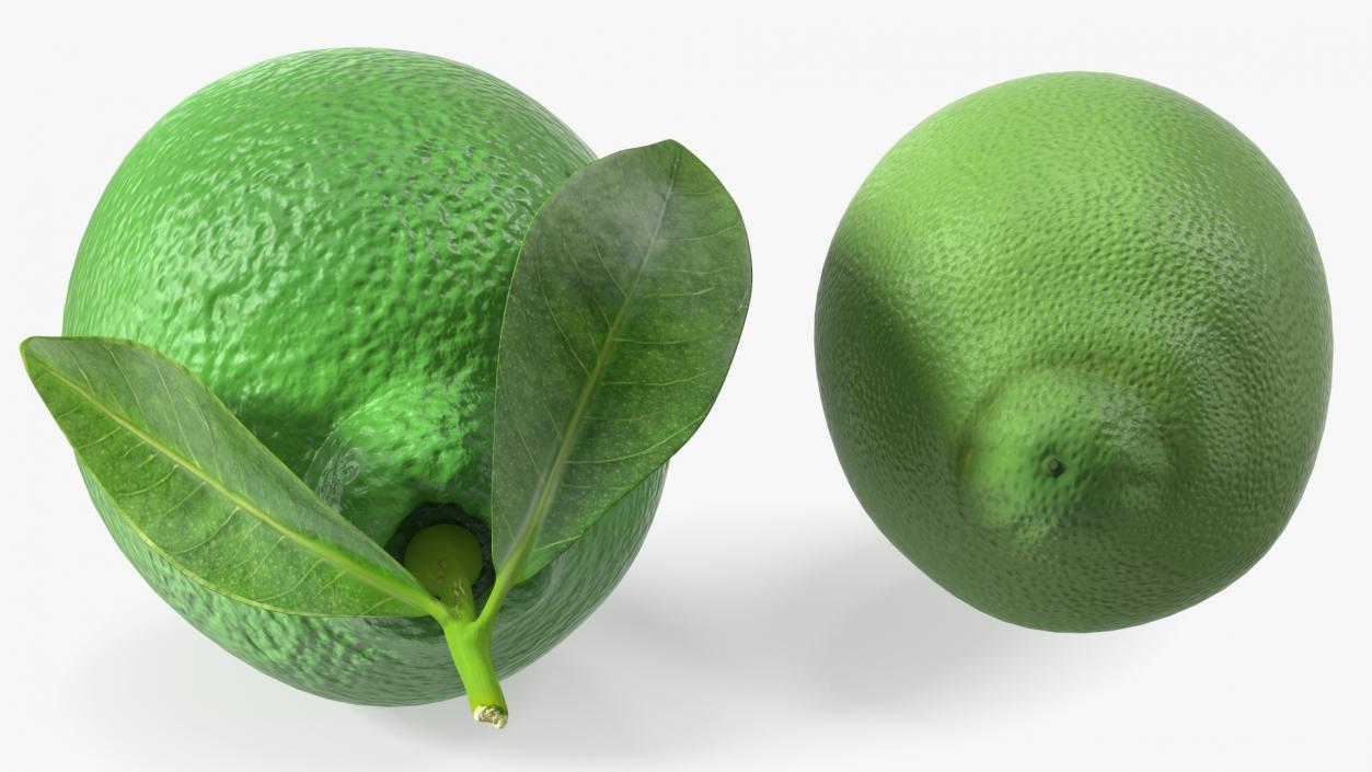 Plastic Green Lemon 3D model