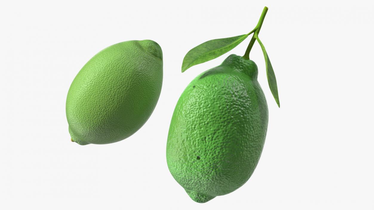 Plastic Green Lemon 3D model