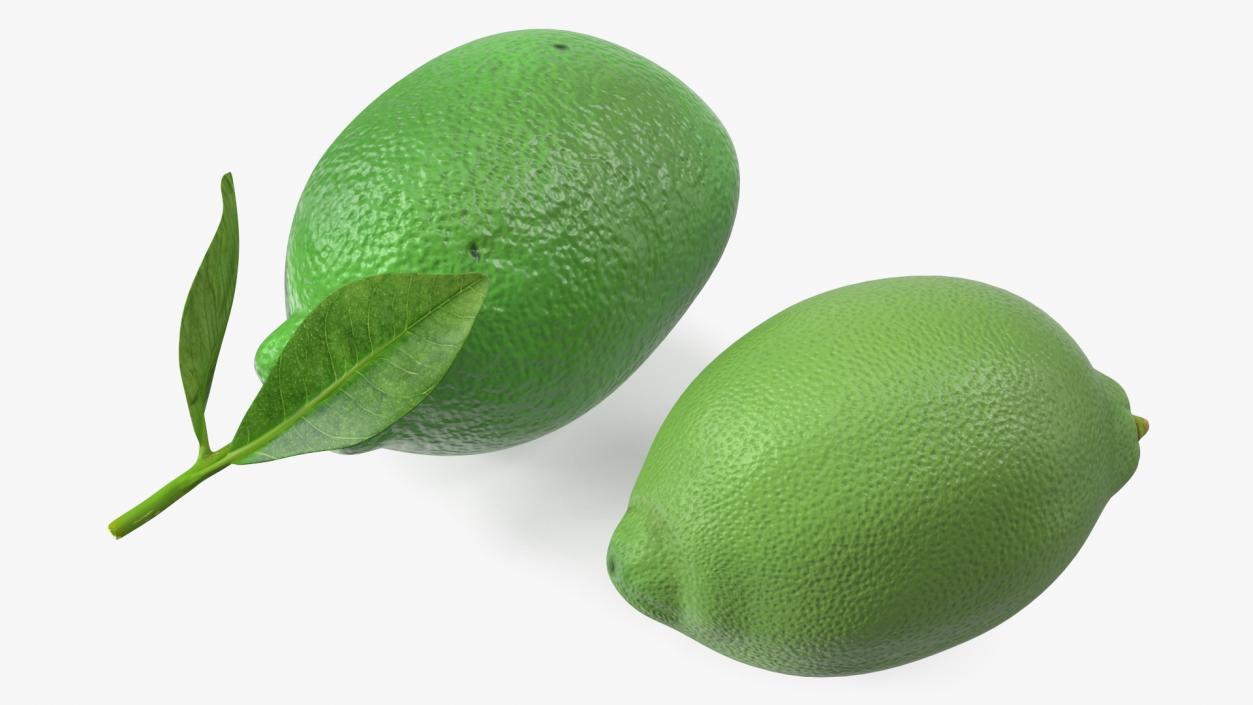 Plastic Green Lemon 3D model