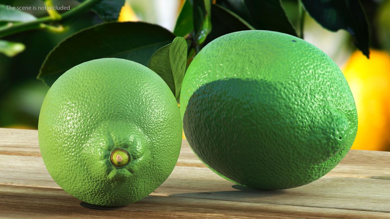 Plastic Green Lemon 3D model