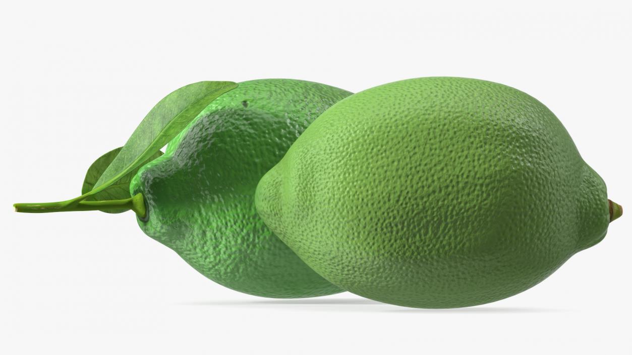 Plastic Green Lemon 3D model