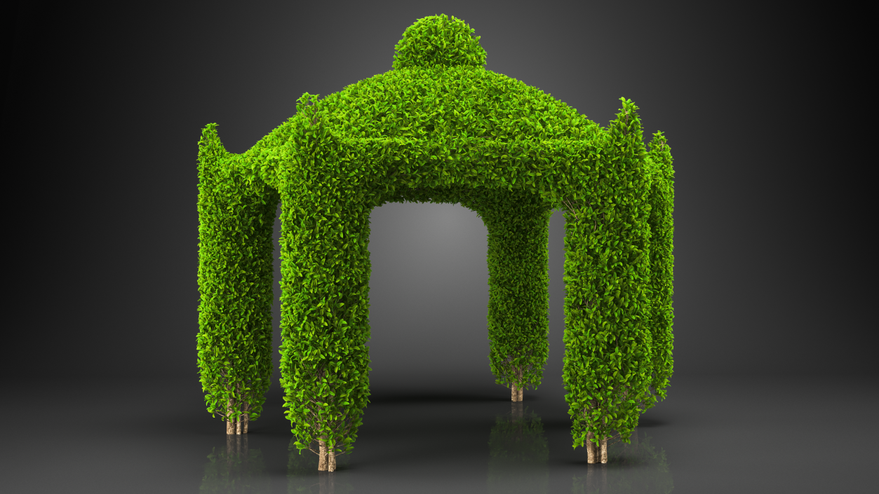 Garden Gazebo with Ivy 3D