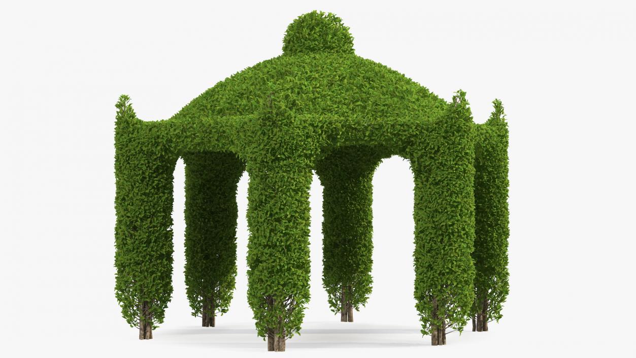 Garden Gazebo with Ivy 3D