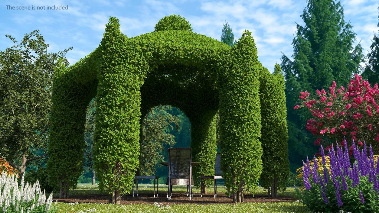 Garden Gazebo with Ivy 3D