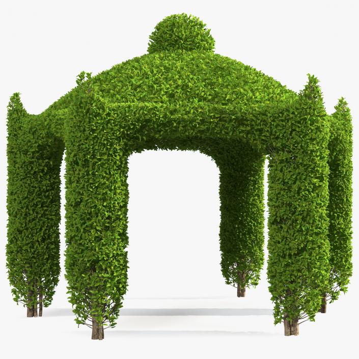 Garden Gazebo with Ivy 3D