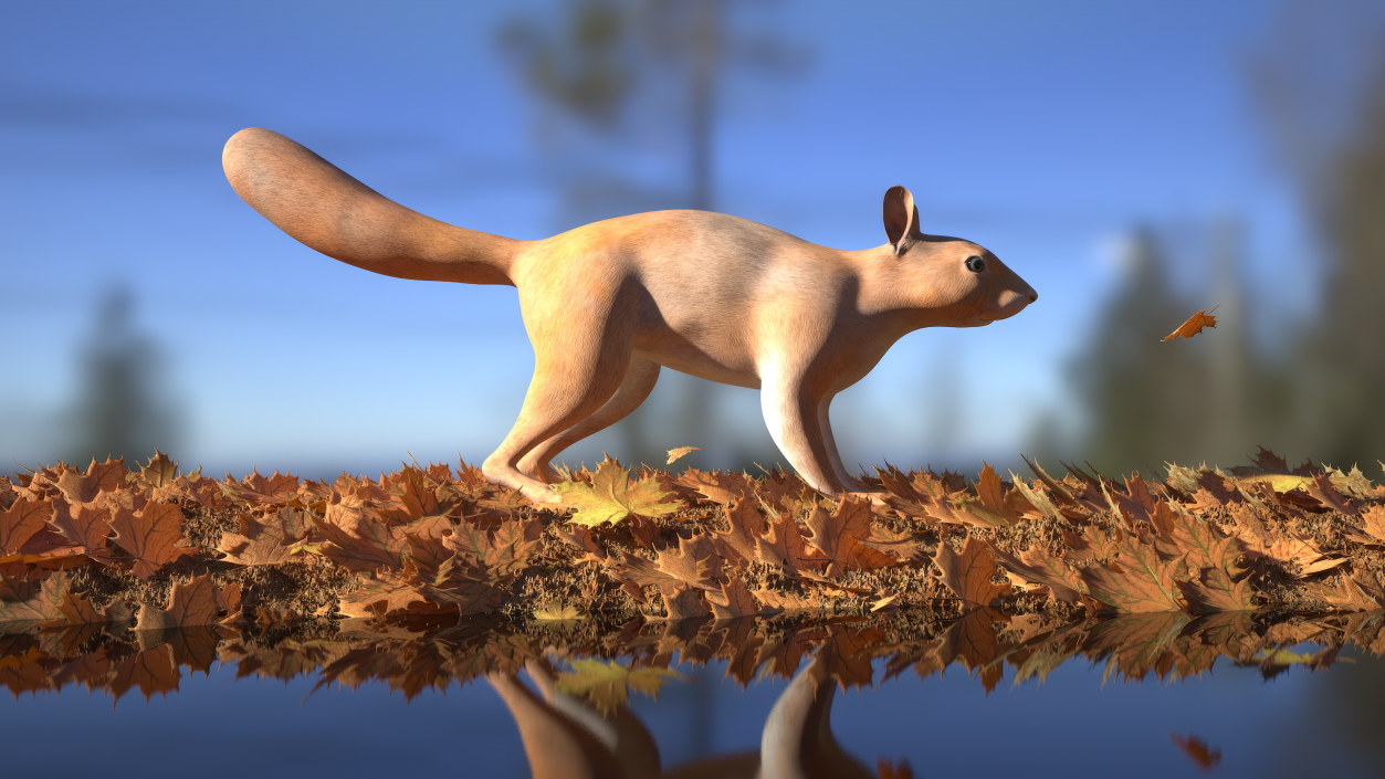 Red Squirrel 3D