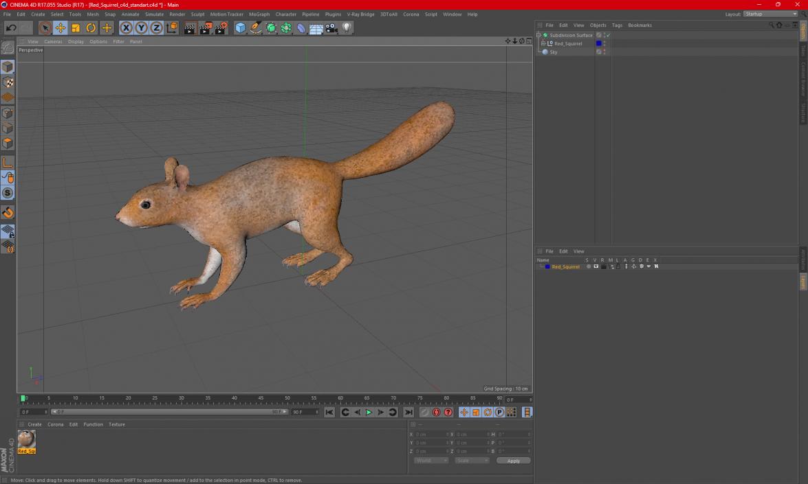 Red Squirrel 3D