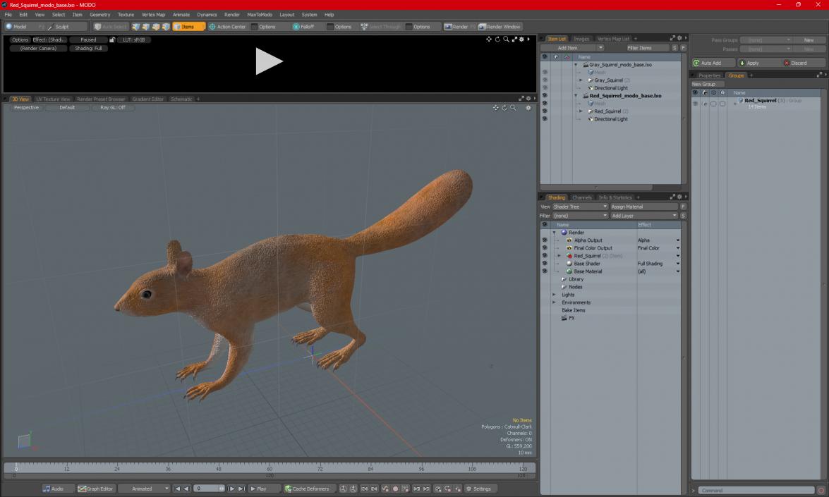 Red Squirrel 3D