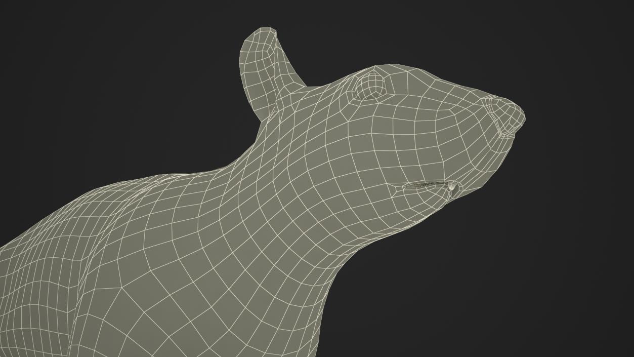 Red Squirrel 3D