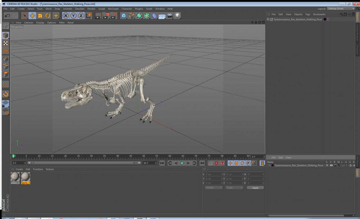 Tyrannosaurus Rex Skeleton Walking Pose 3D model