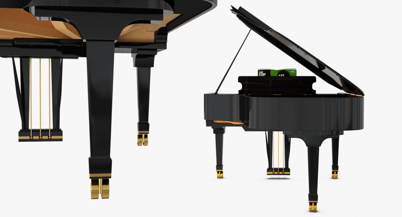 3D Grand Piano Fazioli with Music Notes Book