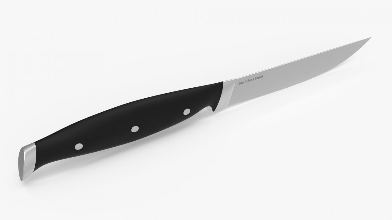 Classic Steak Knife 3D model