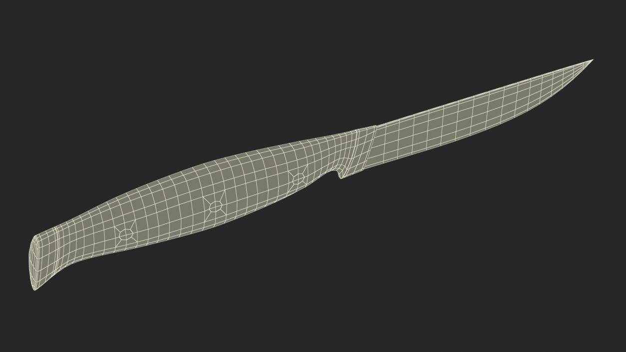 Classic Steak Knife 3D model