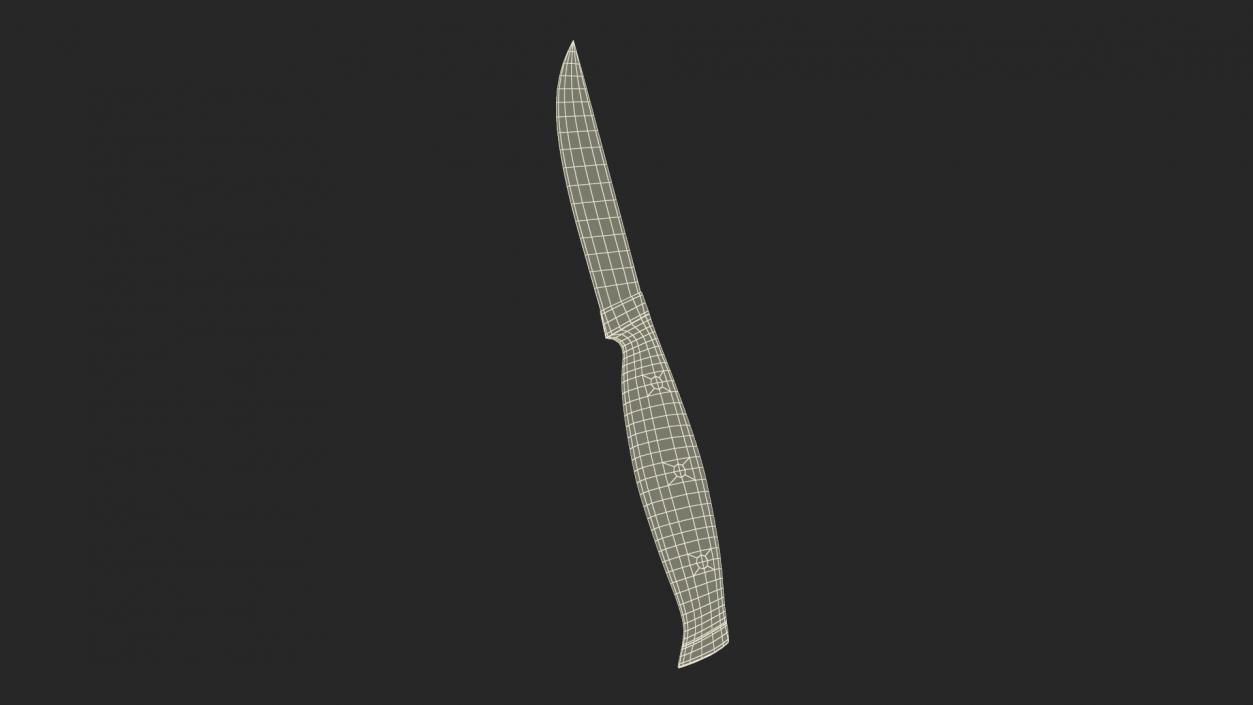 Classic Steak Knife 3D model