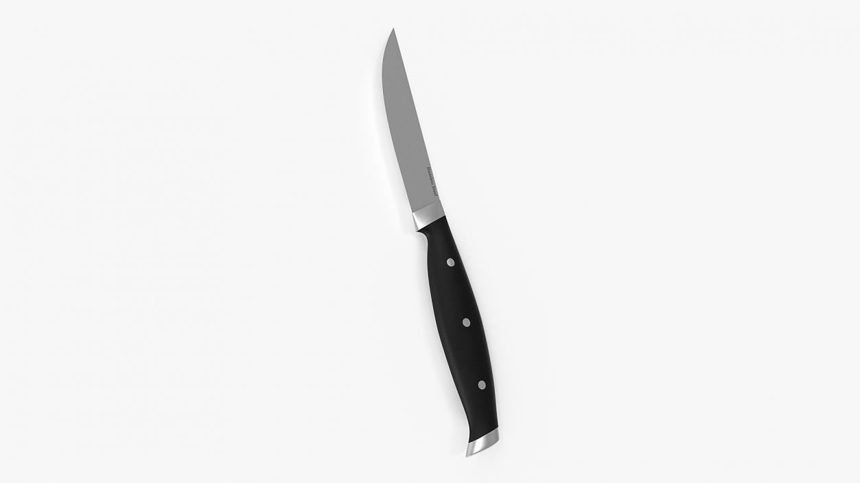 Classic Steak Knife 3D model