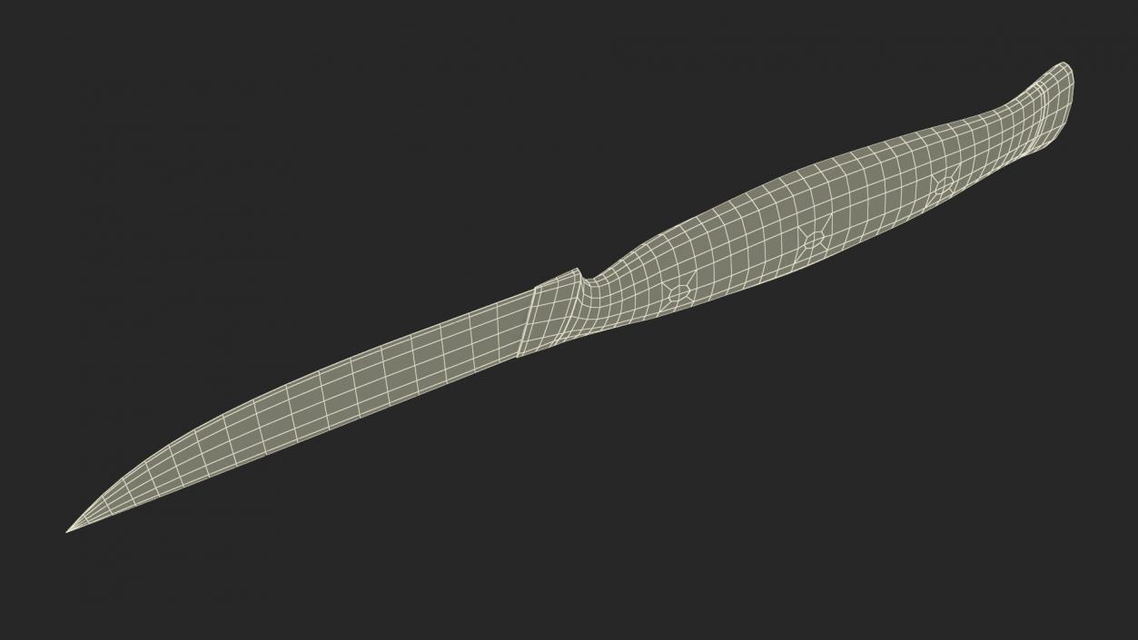 Classic Steak Knife 3D model