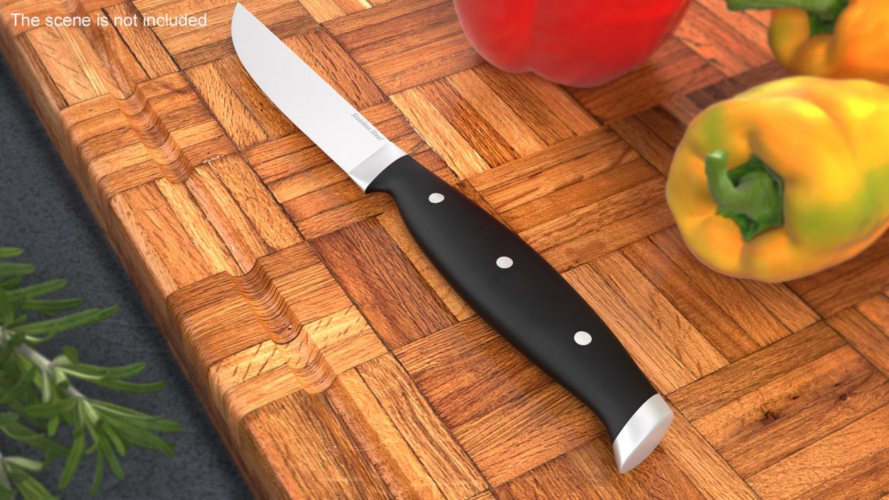 Classic Steak Knife 3D model