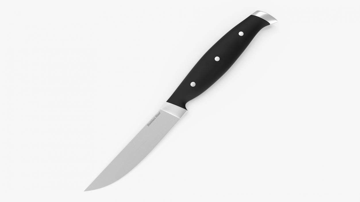 Classic Steak Knife 3D model