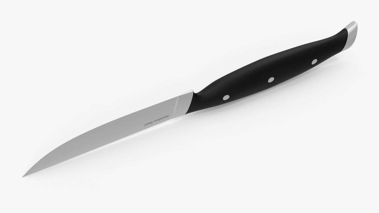 Classic Steak Knife 3D model