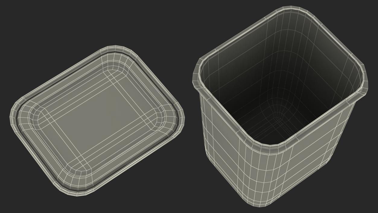 Large Plastic Food Container with Lid 3D