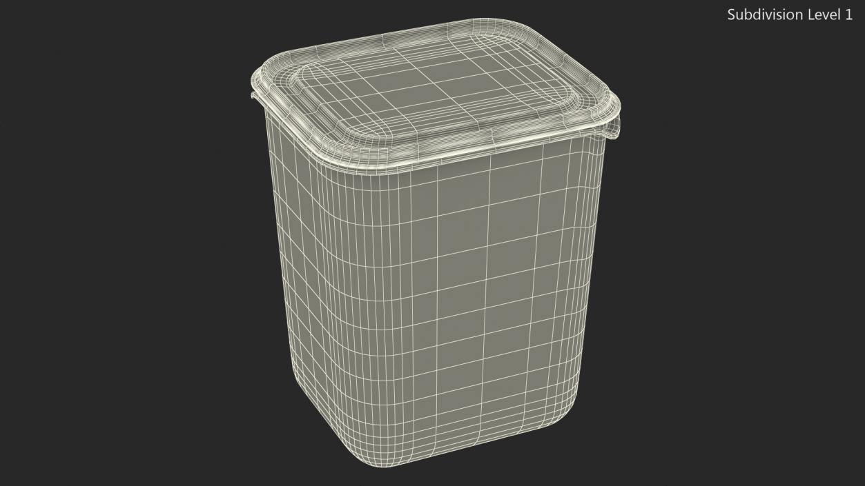 Large Plastic Food Container with Lid 3D