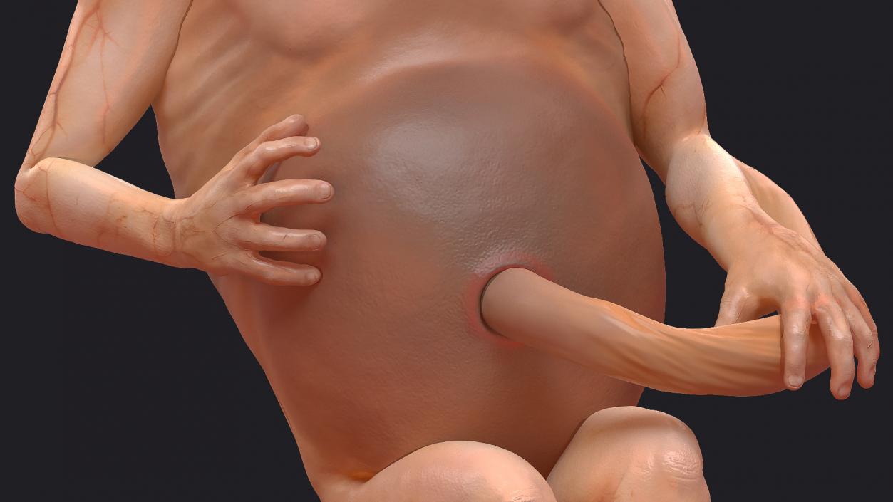 3D Embryos Full Collection model