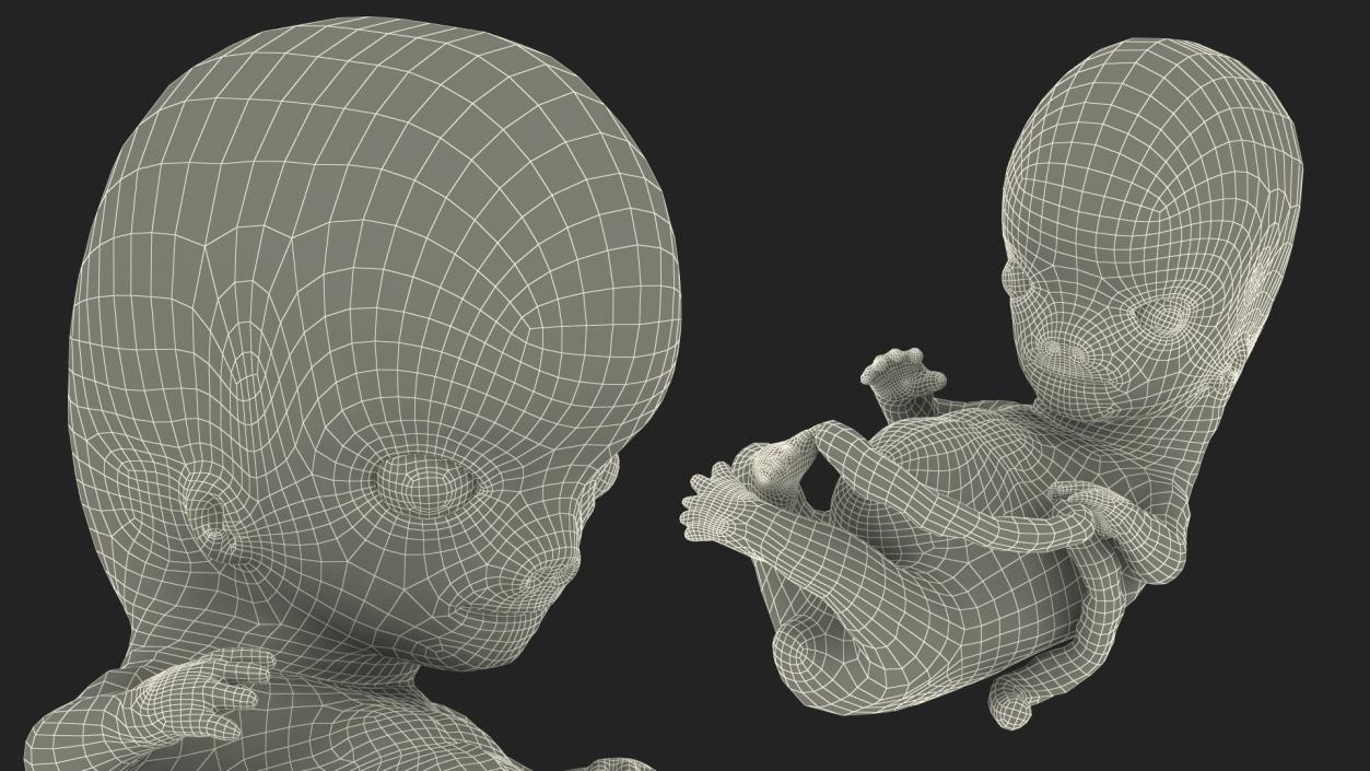 3D Embryos Full Collection model