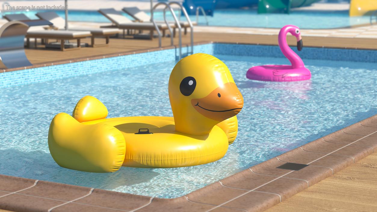 3D Swimming Pool Floats Collection