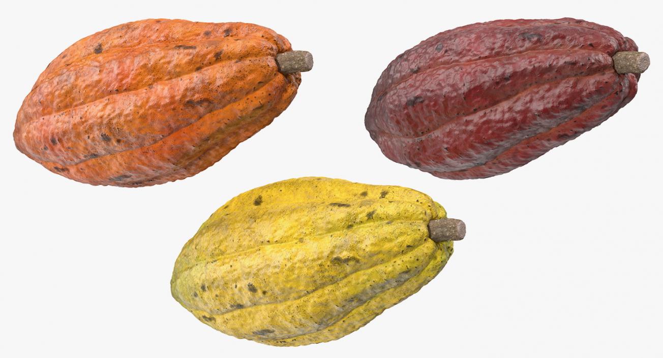 3D Cocoa Fruits Set