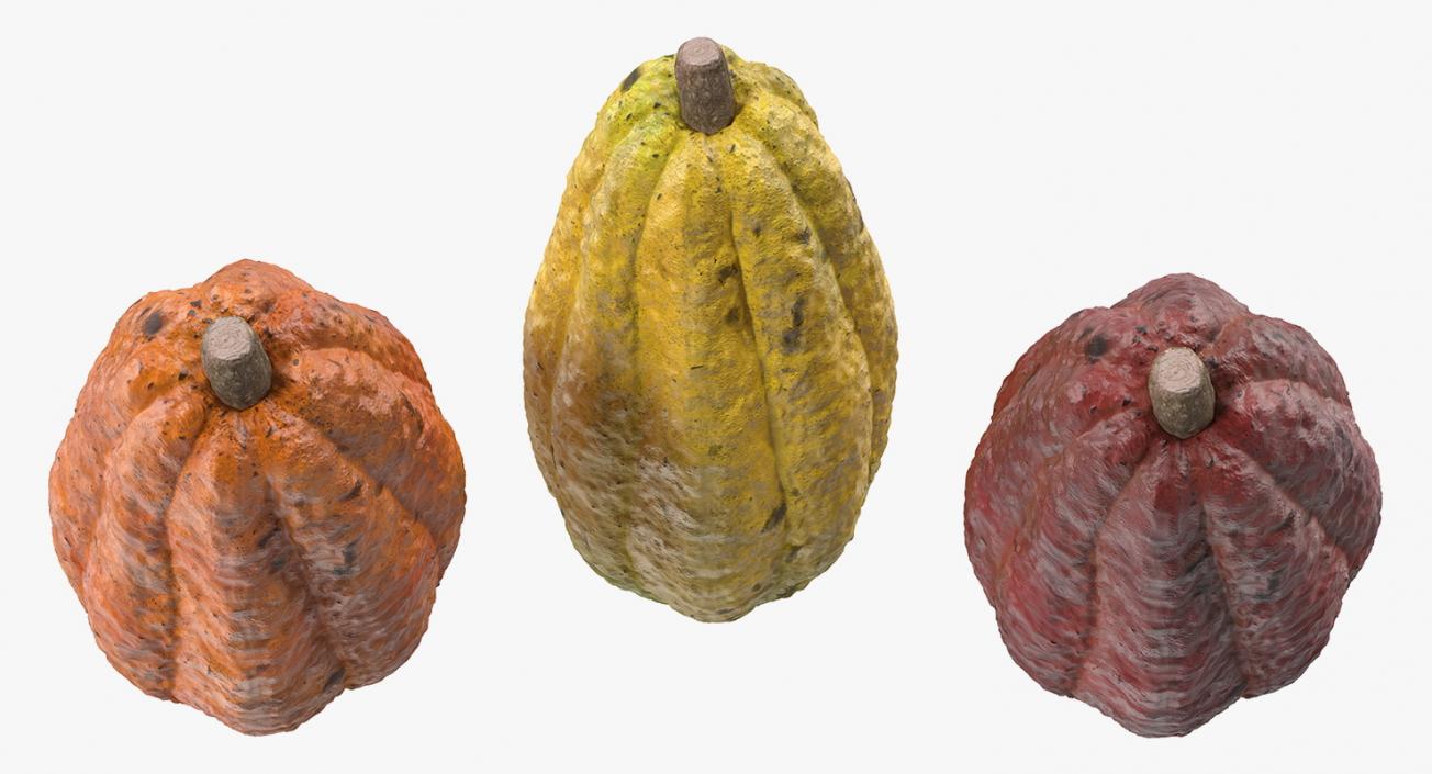 3D Cocoa Fruits Set