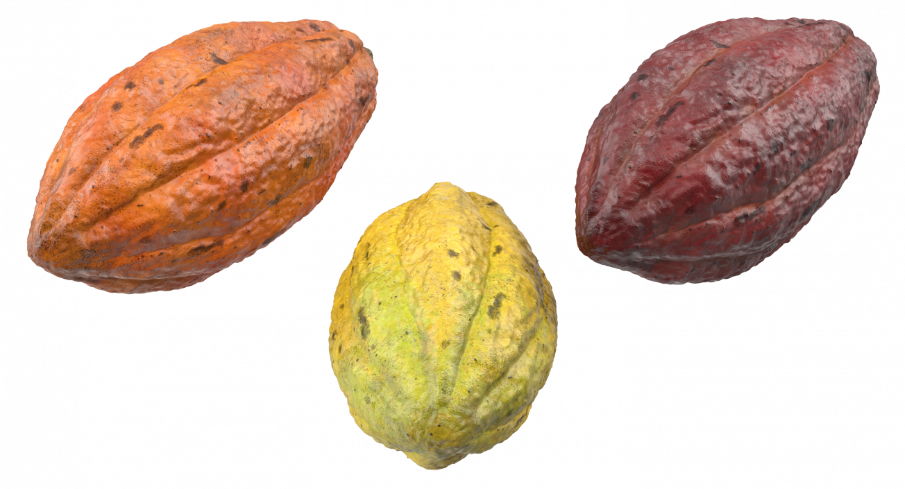 3D Cocoa Fruits Set