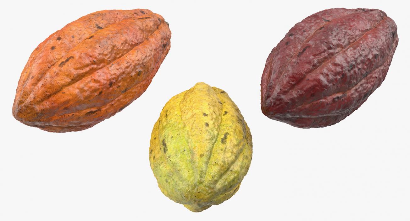 3D Cocoa Fruits Set