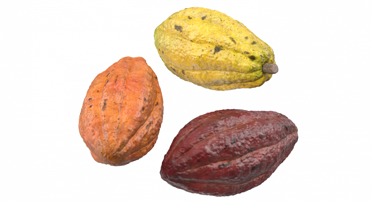 3D Cocoa Fruits Set