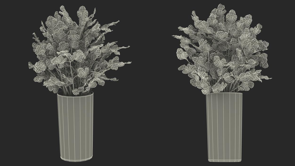 3D model Cilantro Water Glass