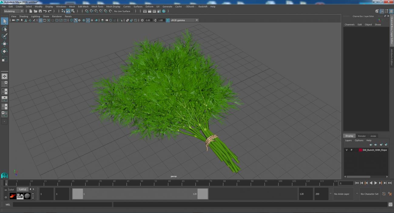 3D model Dill Bunch With Rope