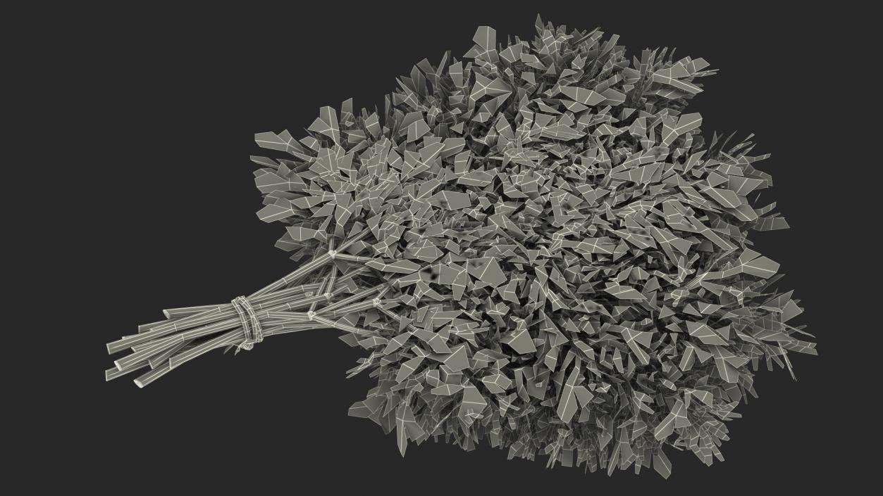 3D model Dill Bunch With Rope