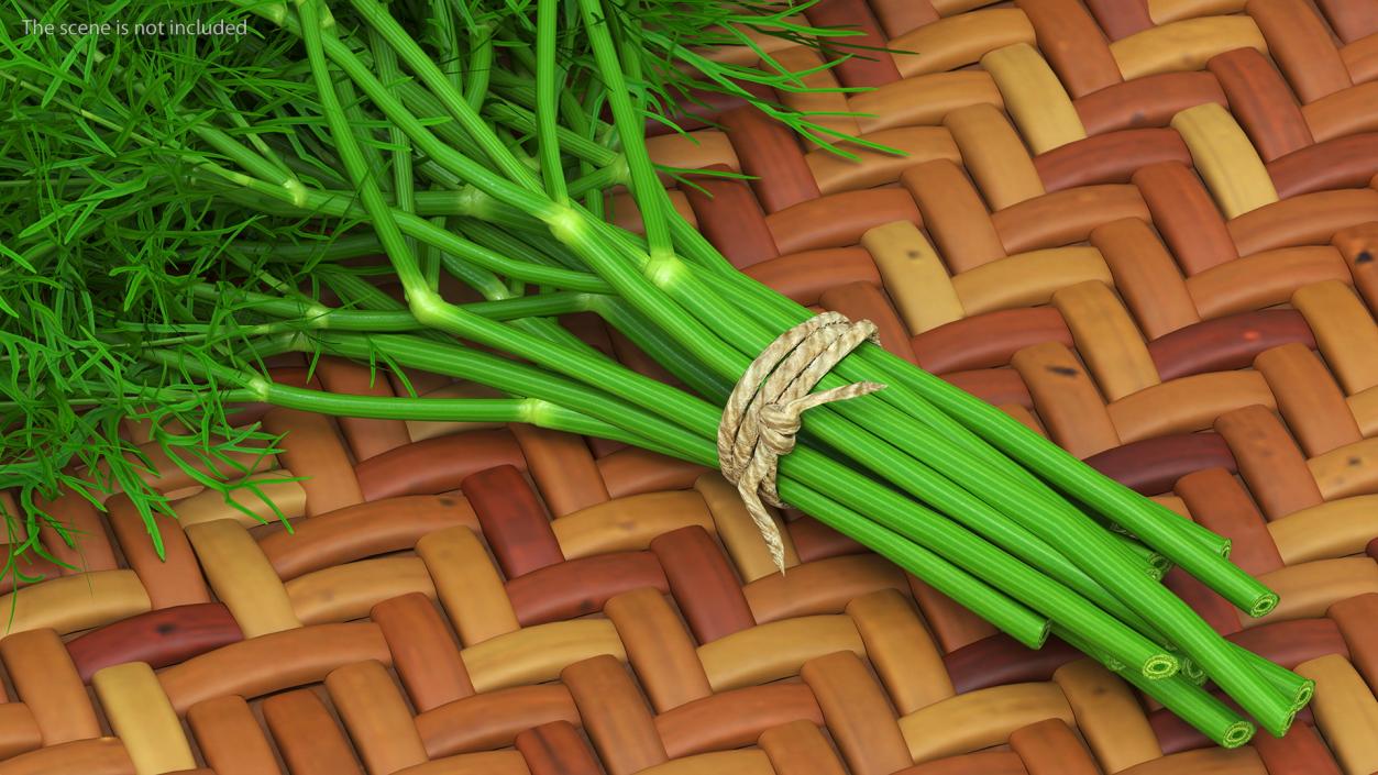 3D model Dill Bunch With Rope