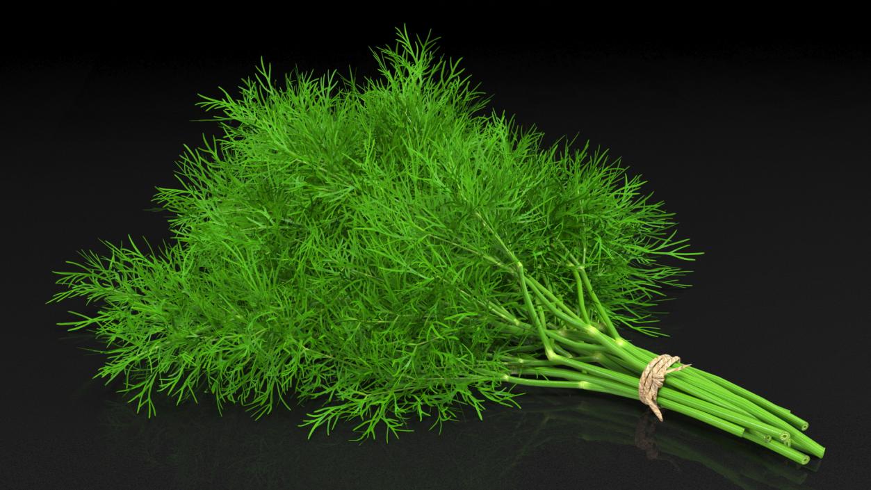 3D model Dill Bunch With Rope