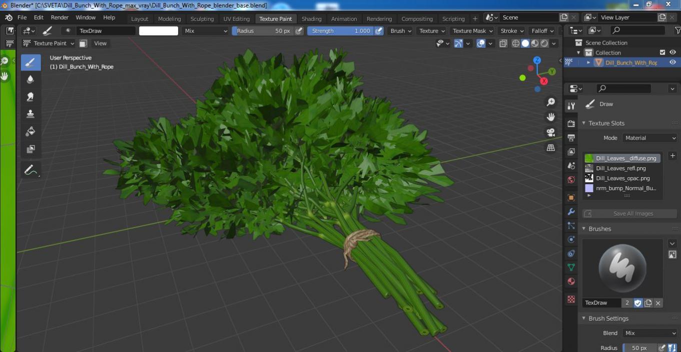 3D model Dill Bunch With Rope