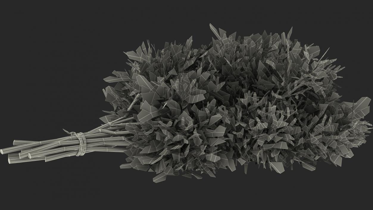 3D model Dill Bunch With Rope