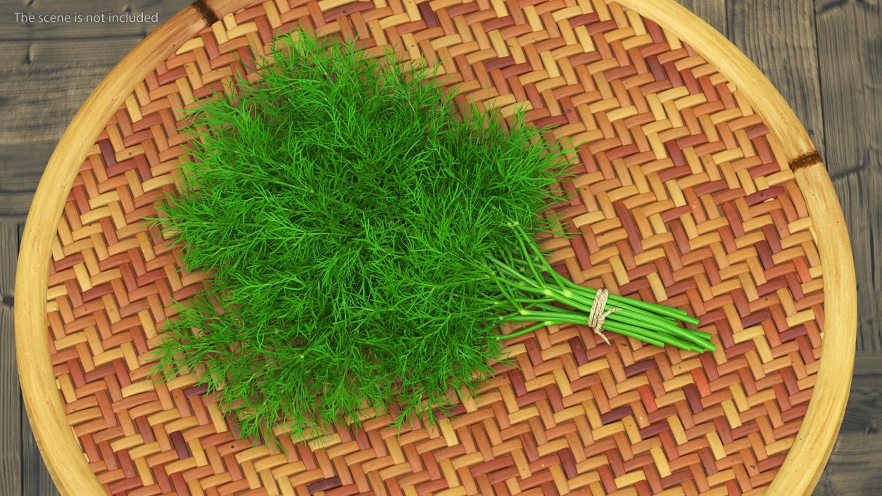 3D model Dill Bunch With Rope