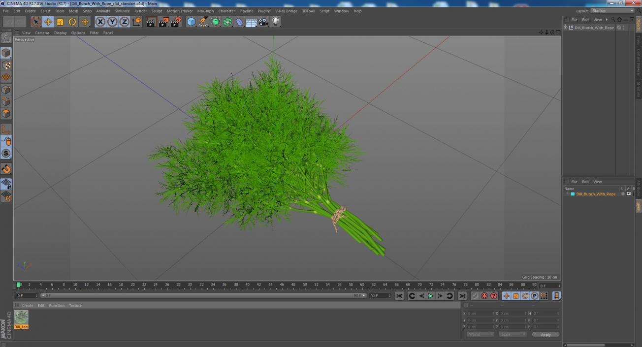 3D model Dill Bunch With Rope