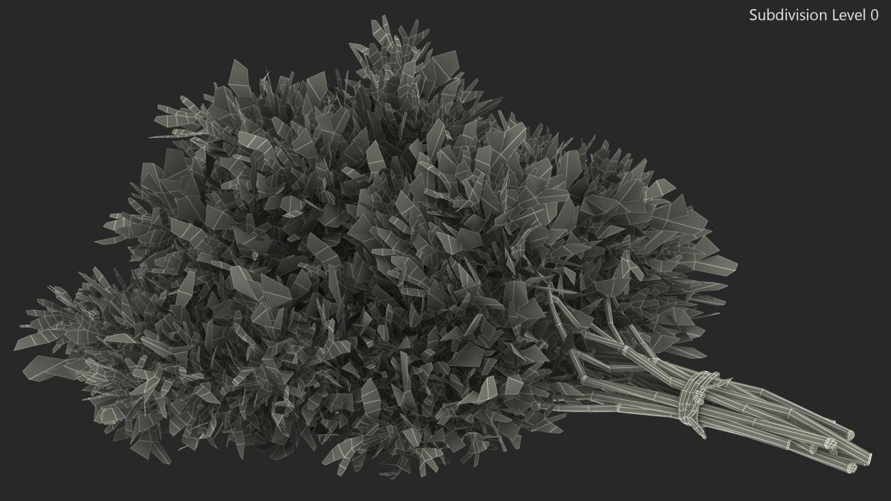 3D model Dill Bunch With Rope