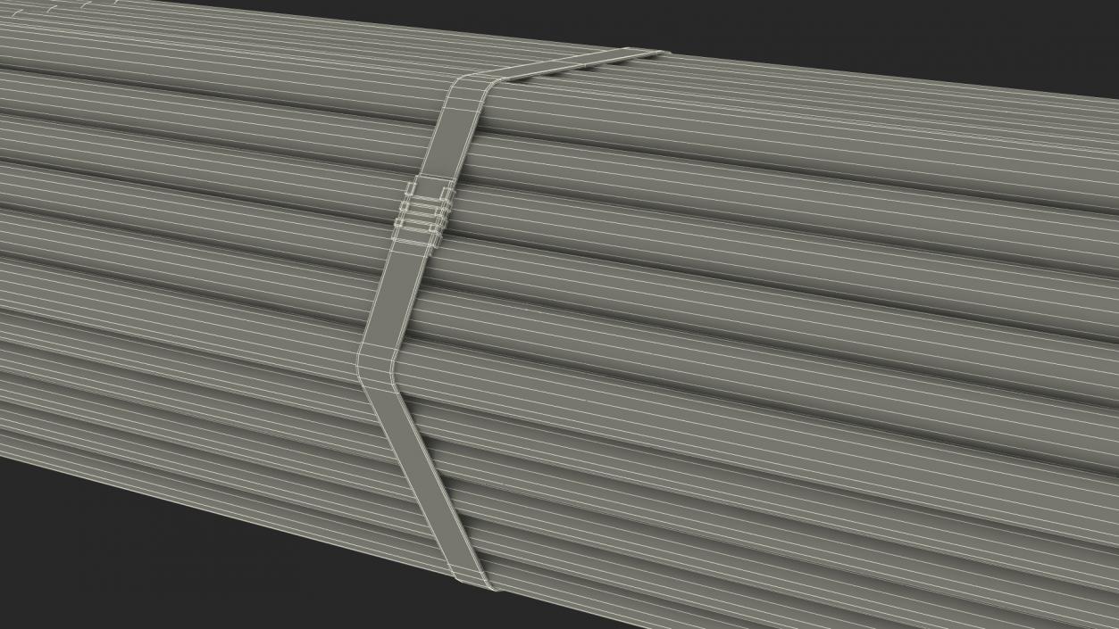 Thin Steel Pipes Bundle 6 Meters 2 3D model