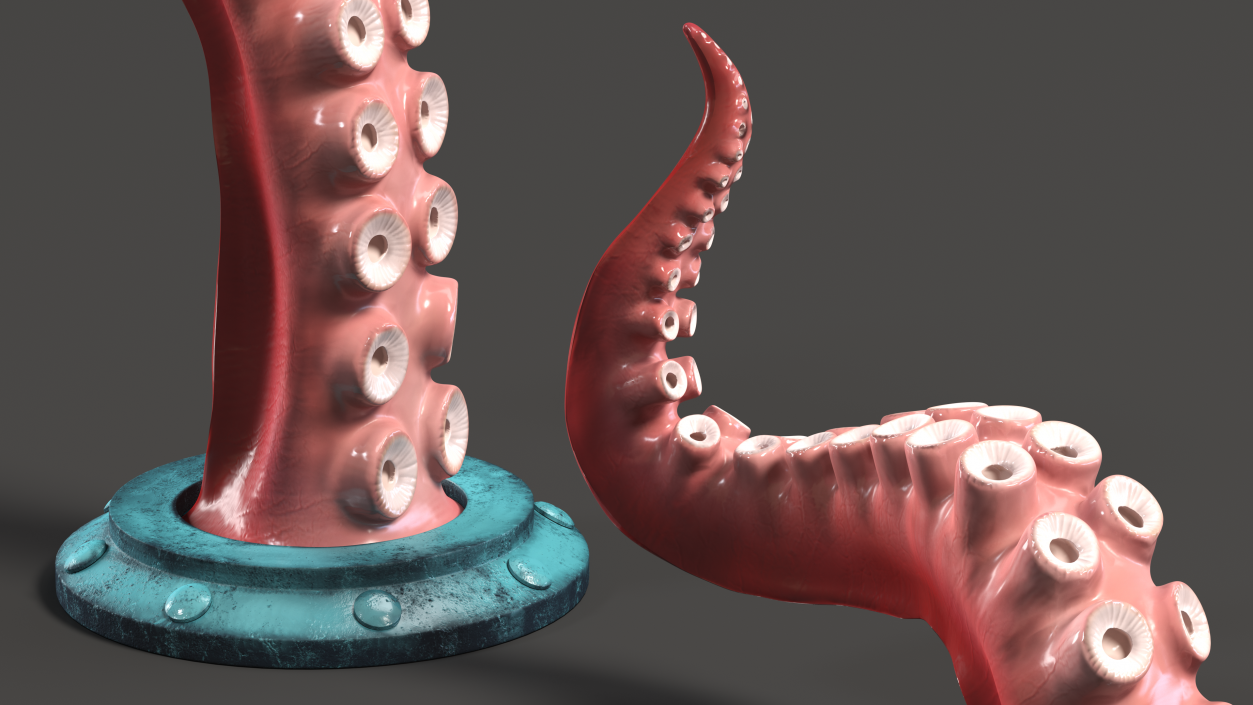 3D model Octopus Tentacle Wall Art Sculpture