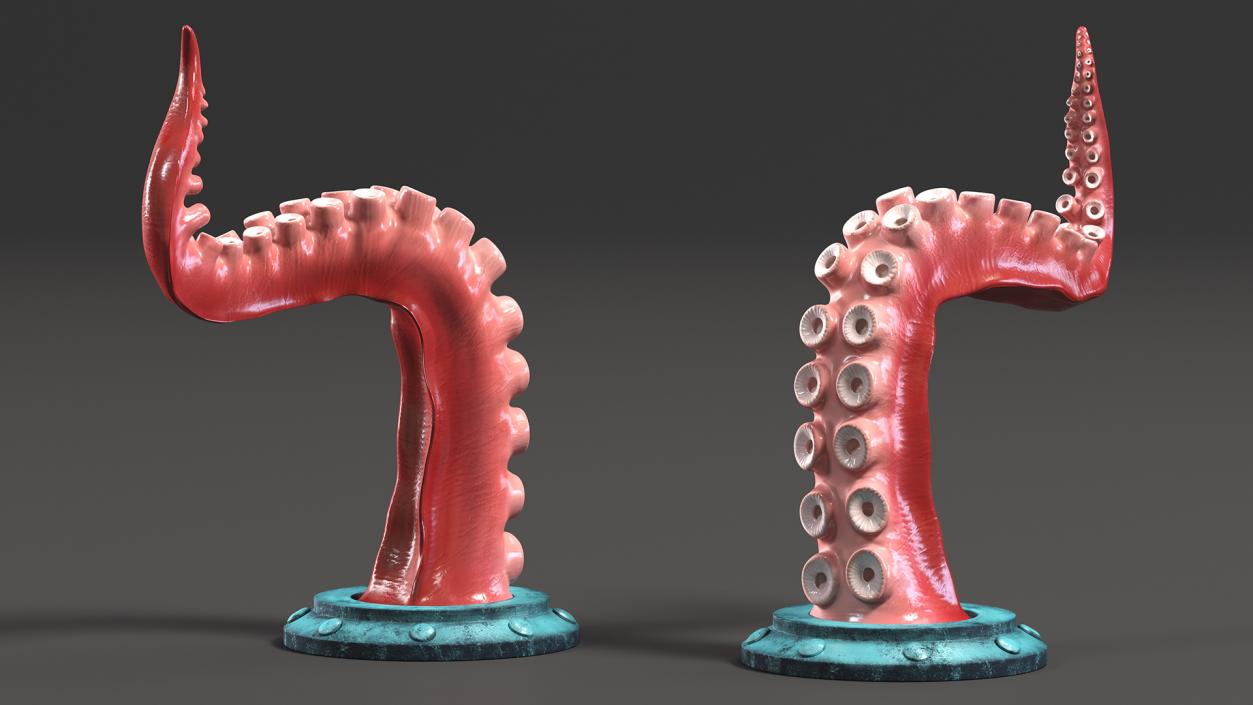 3D model Octopus Tentacle Wall Art Sculpture