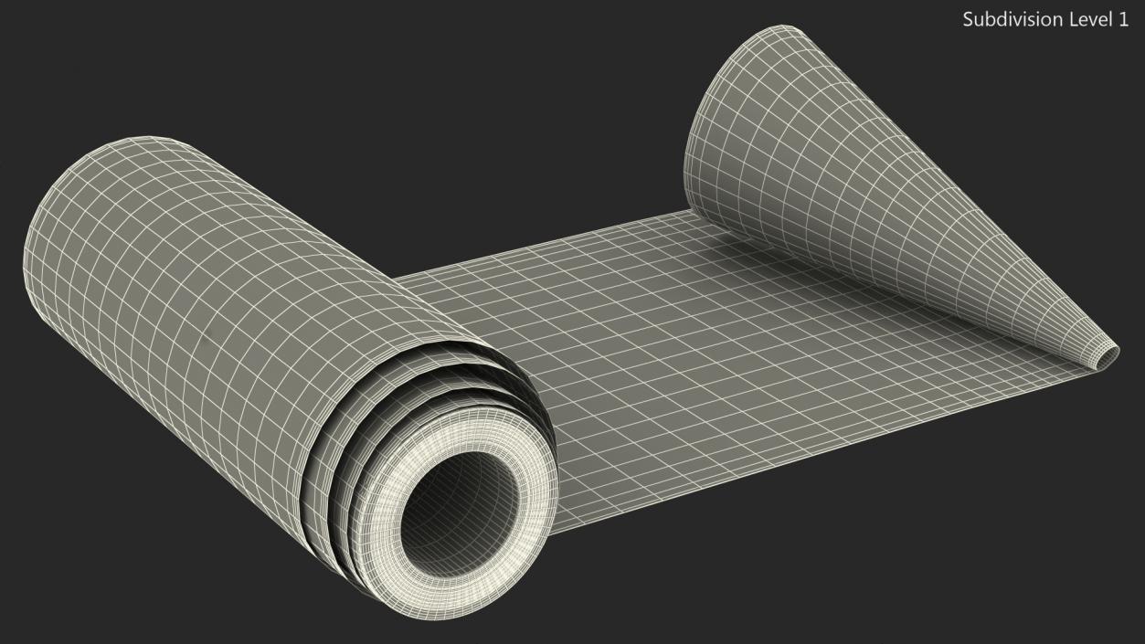 3D Roll of White Paper Unfolded model